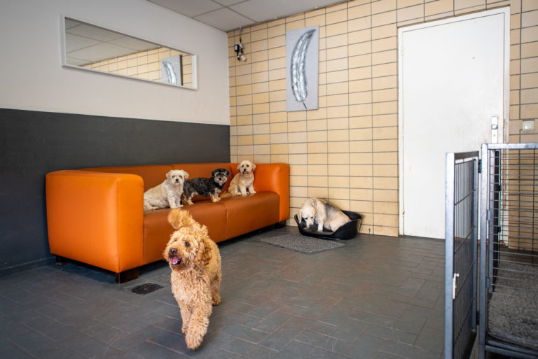 2019_08_AliphasDierencentrum-101