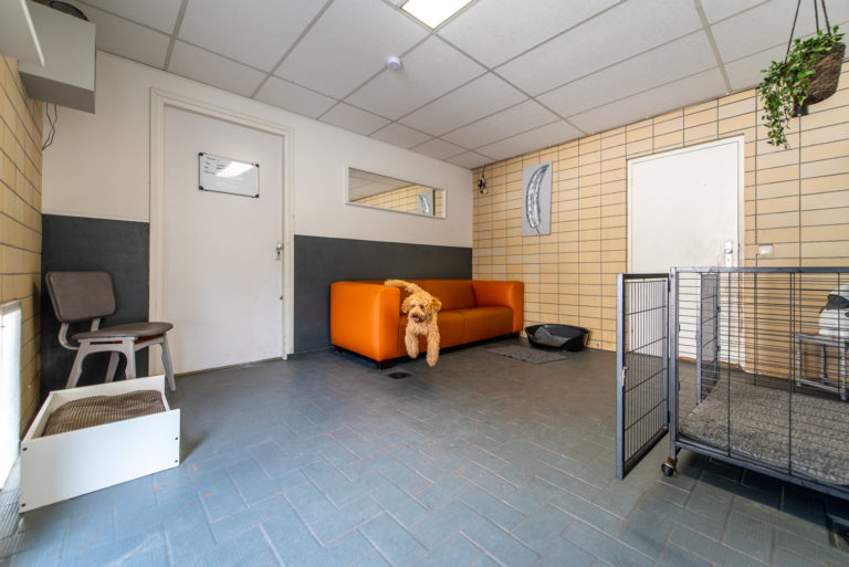 2019_08_AliphasDierencentrum-97